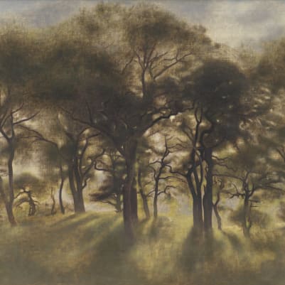 Smokey Forest Classic pattern image