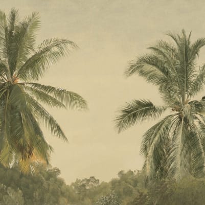 Zamia  pattern image