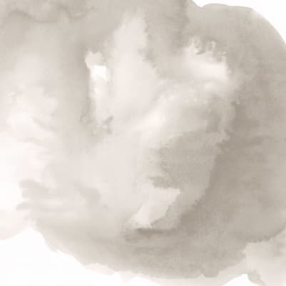 Zephyr Biege pattern image