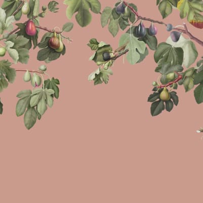 Ficus Pink pattern image