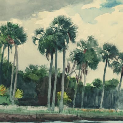 Chusan Classic pattern image