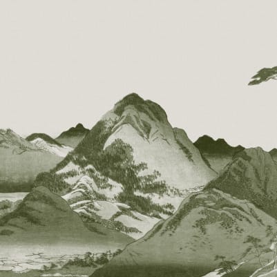 Takayama Green pattern image