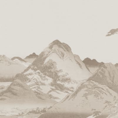 Takayama Beige  pattern image