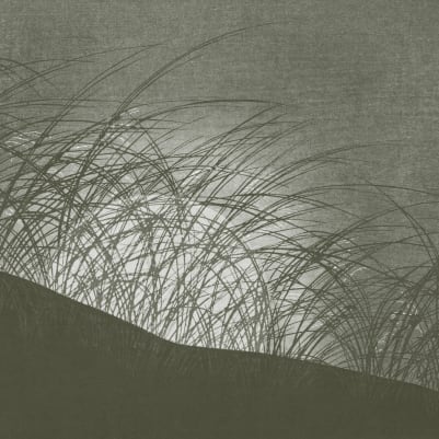 Komorebi Green pattern image