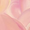 Canvas Pink