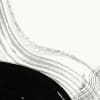 Brush Monochrome