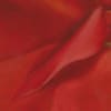 Cannas