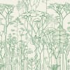 Francis Halle, Chlorophylle