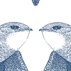 White Birds, Indigo