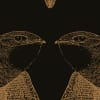 Black Birds, Ocre