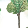 Milly, Menthe