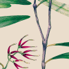 Kimono, Silk