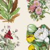 Bouquets, Beige