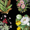 Bouquets, Black