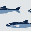 Gill