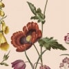 Prairie Beige