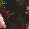 Evelyn