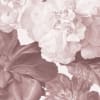 Ophelia Dusky Pink