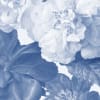 Ophelia Blue