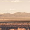 Mojave
