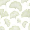 Biloba