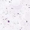 Drizzle