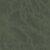 Thicket Green