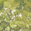 Summer Leaves