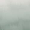 Fervent Green