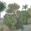 Jungle Land, Color
