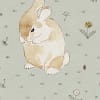 Bunny Field, Mint
