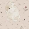 Bunny Field, Pink