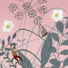 Pixie, Dawn
