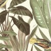 Birds of Paradise, Bright Dawn