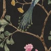 Songbirds, Midnight