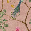 Songbirds, Pink