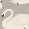 Whooper Swan, Soft Blue