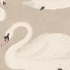 Whooper Swan, Beige
