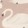 Whooper Swan, Soft Pink
