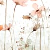 Dreamy Meadow, Red