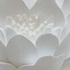 Lotus Dream, White