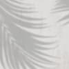 Canopy Gray