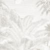 Lacandon Grey