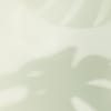 Climate Sage