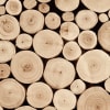Bark