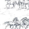 Horse Herd