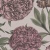 Peony Delight, Purple