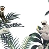 Jungle Monkeys, White