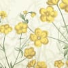 Vintage Buttercups, Yellow