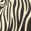 Zebra, Orange